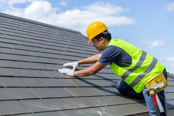 Best Storm Damage Roof Repair  in Canfield, OH