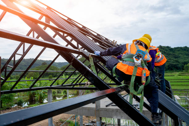 Best Gutter Installation and Roofing  in Canfield, OH