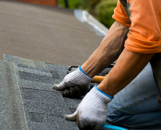 Best Roof Gutter Cleaning  in Canfield, OH