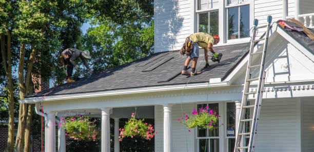 Best Roof Leak Repair  in Canfield, OH